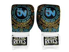 Guantes de Entrenamiento Cleto Reyes en sintetico de cinta de contacto, Jackie Nava (la princesa azteca)