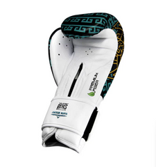 Guantes de Entrenamiento Cleto Reyes en sintetico de cinta de contacto, Jackie Nava (la princesa azteca)